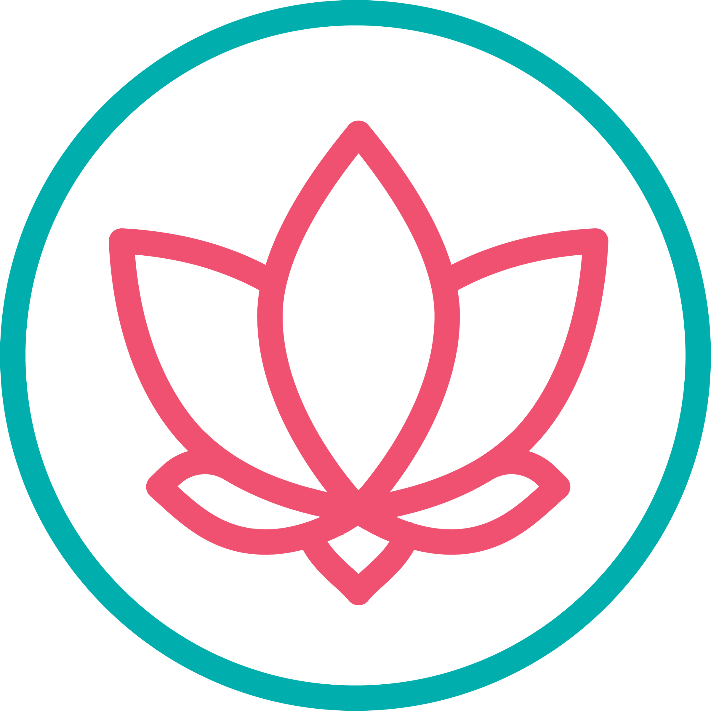 Lucky Tofu Lucky Lotus